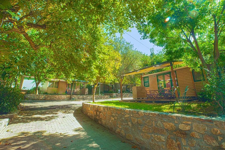 Armenistis Camping & Bungalows 萨尔蒂 外观 照片